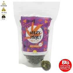 MARY SORBET CANNABIS LIGHT OUTDOOR - BUSTINA DA 25gr PREMIUM QUALITY