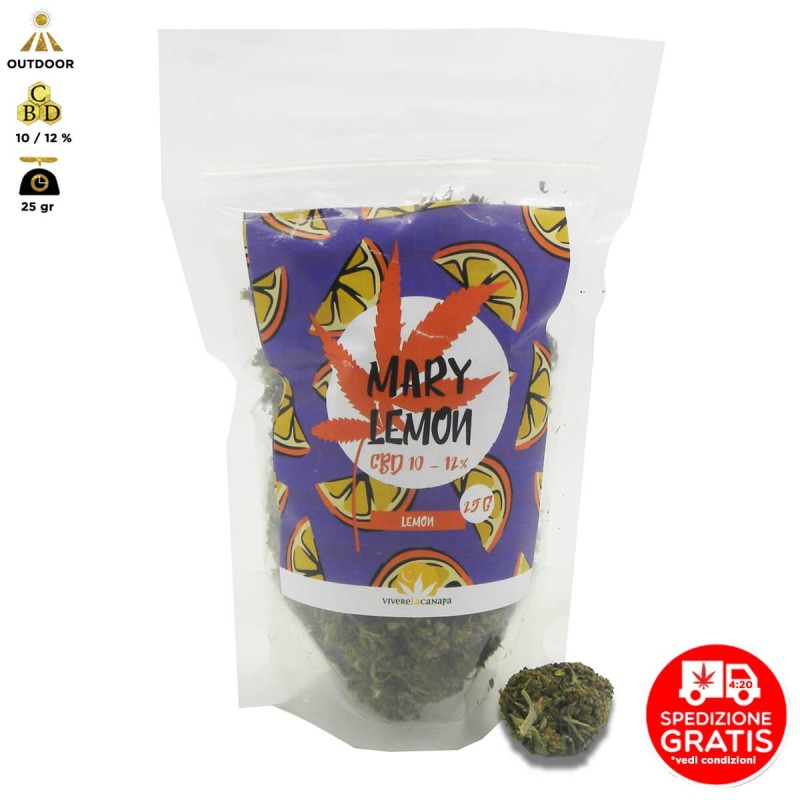 MARY LEMON CANNABIS LIGHT OUTDOOR - BUSTINA DA 25gr PREMIUM QUALITY