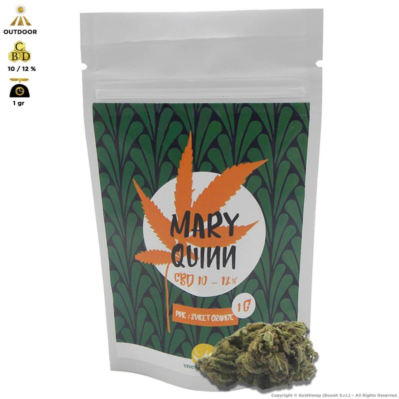 MARY QUINN CANNABIS LIGHT OUTDOOR - BUSTINA DA 1gr PREMIUM QUALITY