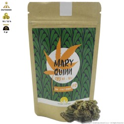 MARY QUINN CANNABIS LIGHT OUTDOOR - BUSTINA DA 5gr PREMIUM QUALITY