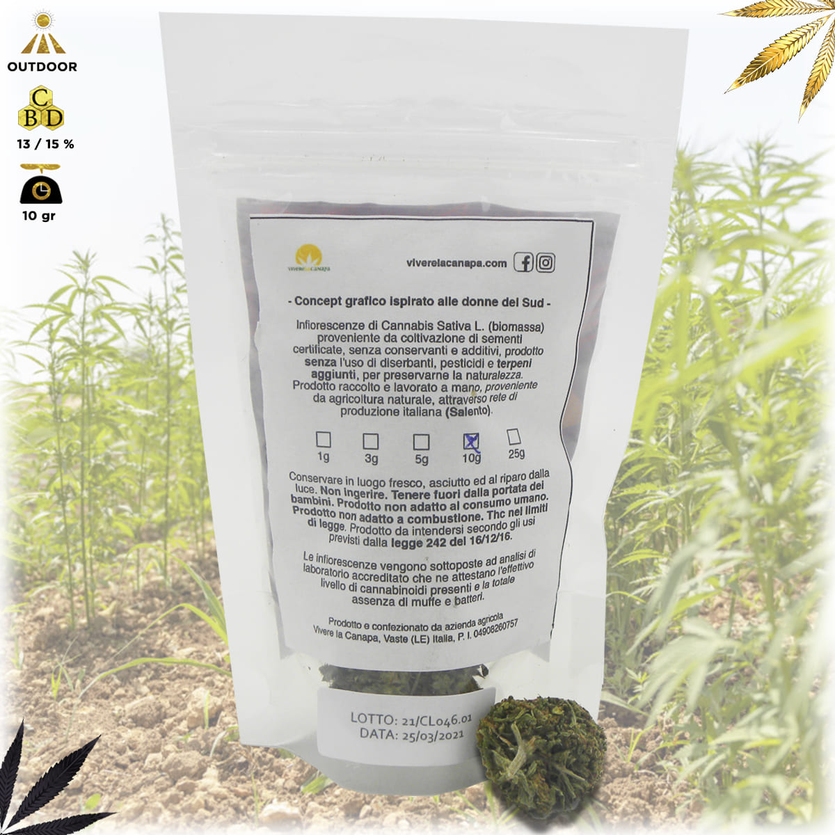 bud fiore infiorescenza cannabis light qualità mary sorbet bustina da 10 grammi