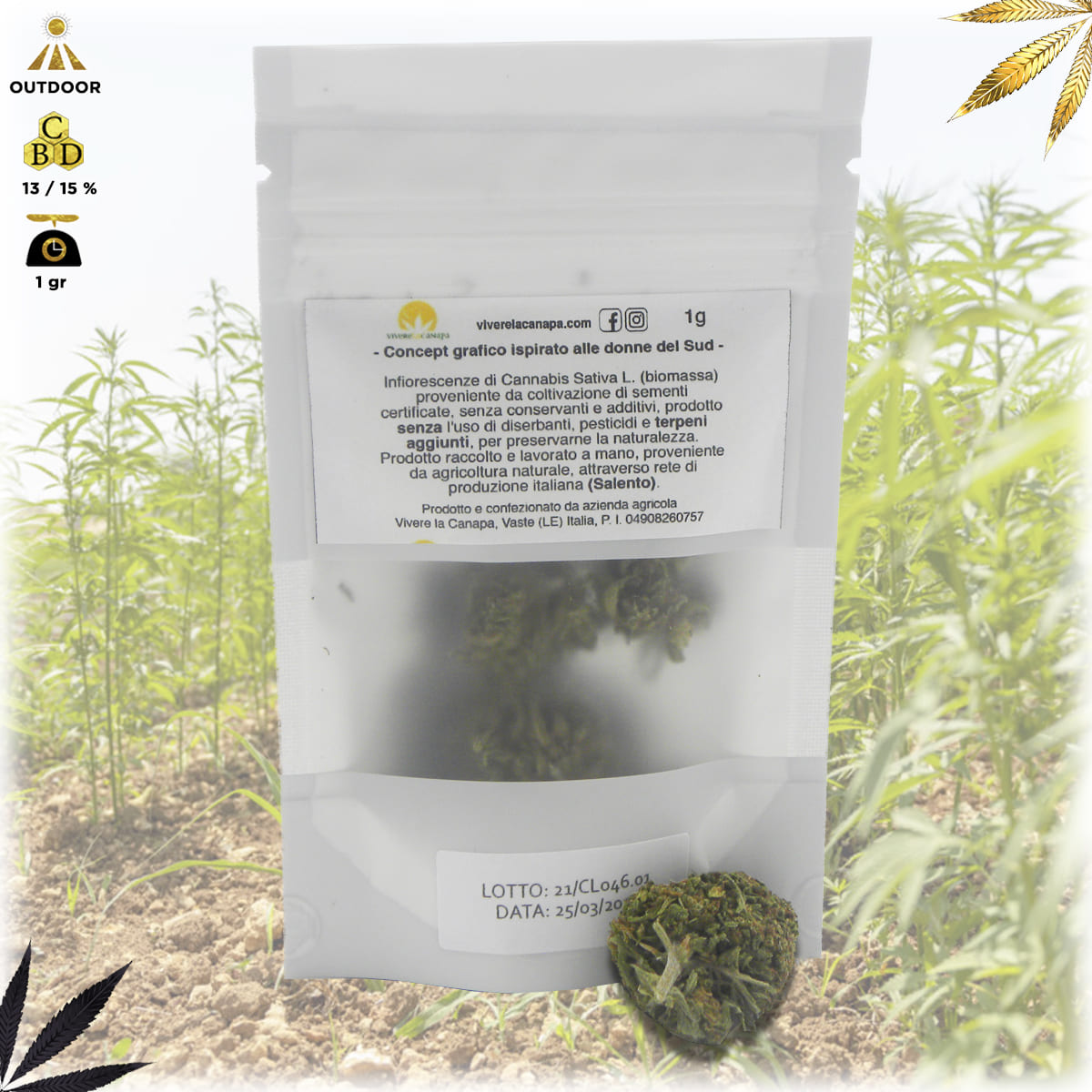 bud fiore infiorescenza cannabis light qualità mary sorbet bustina da 1 grammo