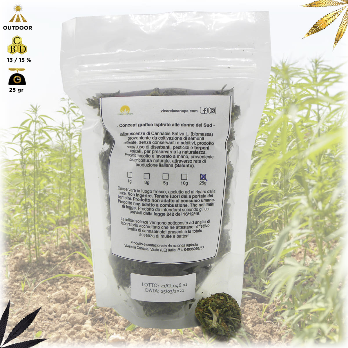 bud fiore infiorescenza cannabis light qualità mary sorbet bustina da 25 grammi