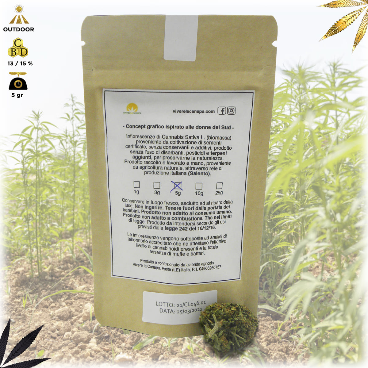 bud fiore infiorescenza cannabis light qualità mary sorbet bustina da 5 grammi