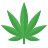 icons8-foglia-di-marijuana-48.png