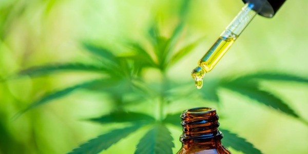 Olio CBD? Ecco come assumerlo